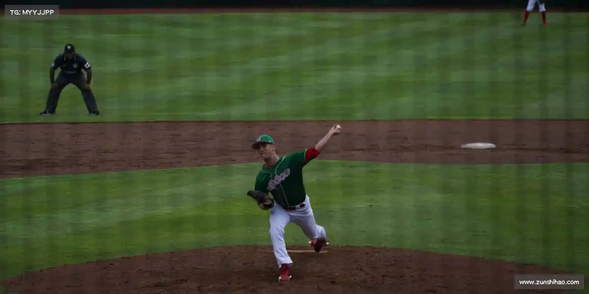 行业领先的理由